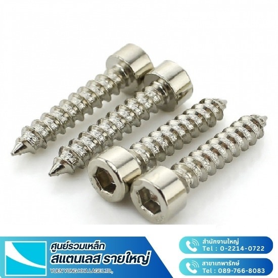 สกรูสแตนเลส - สแตนเลส ยืนยง สกรูสแตนเลส - สแตนเลส ยืนยง